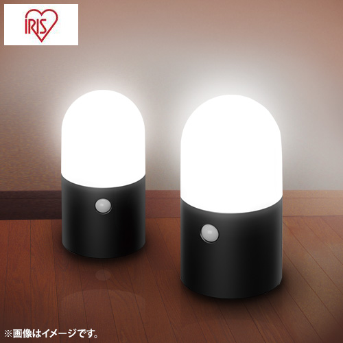 【クリックで詳細表示】アイリスオーヤマ ガーデンセンサーライト丸型シングルセンサー2個セット ブラック ZSL-MN1M-BKS2
