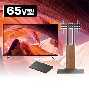 65型 テレビ ソニーのおすすめ人気商品一覧｜通販 【ジャパネット公式】