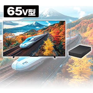 65型 テレビ TVS REGZAのおすすめ人気商品一覧｜通販