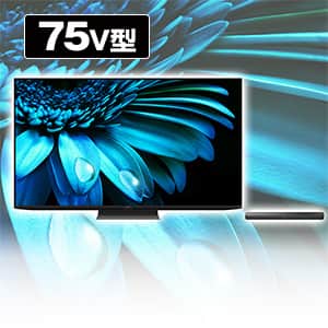 187.000円→168.300円！ウィンターセール！ 使用3カ月 シャープ2024年 