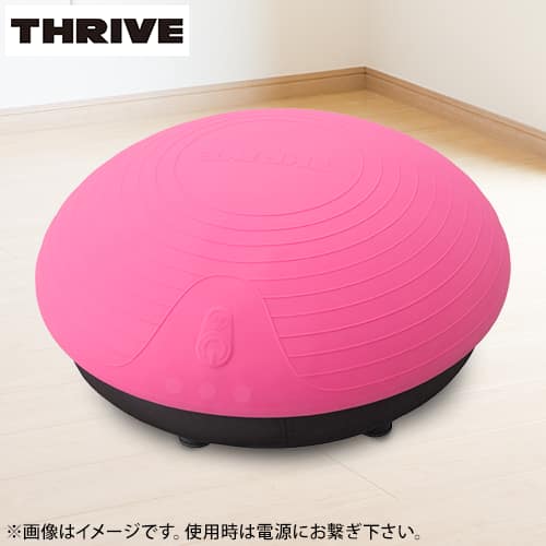 バランスボーイ スライヴ スライヴ(THRIVE) FD-009-RE バランスボーイ