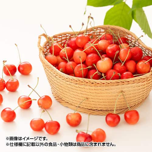 ランキングや新製品 5L000-DV-0000-l.jpg フェイスクリーム