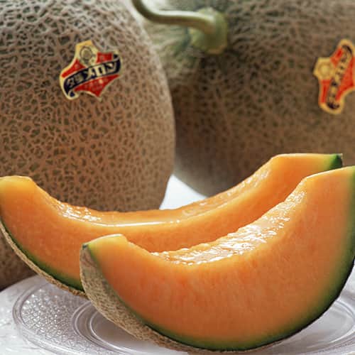 食品（生鮮品） 夕張メロン 3玉入 通販【ジャパネット公式】