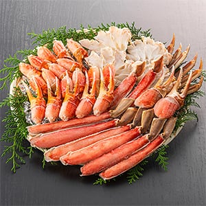 E91 佐藤商事 ジャパネットタカタ ONSTAGE オンステージ FB01GT E91 佐藤商事 ジャパネットタカタ ONSTAGE オンステージ FB01GT