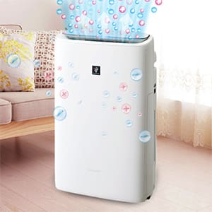 シャープ プラズマクラスタ プラズマクラスター シャープのおすすめ人気商品一覧｜通販