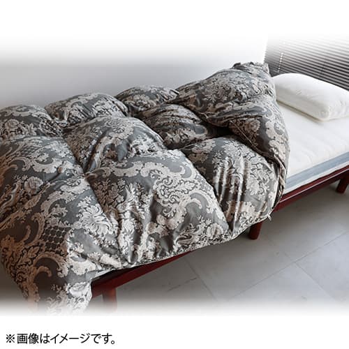 モリリン 布団・快眠グッズ 【新品同様】エコフレンドリーダウン羽毛 