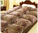 モリリン 羽毛布団の商品一覧：テレビシおすすめ人気商品一覧