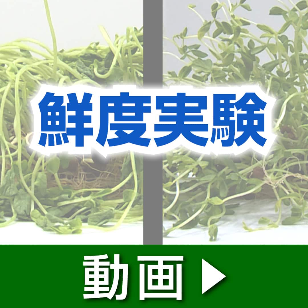 日立 冷蔵庫 冷蔵庫401L 左開き R-K40SJL(T) 下取りあり（別途