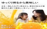 NUC電子 その他調理家電 クビンス サイレントジューサー レッド JSG