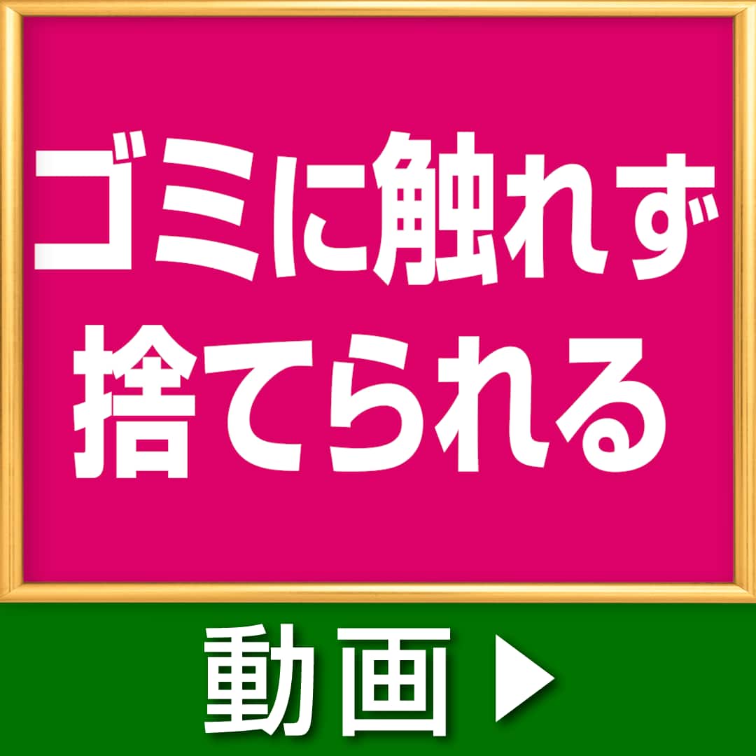 iRobot社 掃除機 ルンバ115 コンボロボット＋AutoEmpty充電