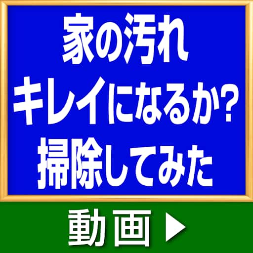 iRobot社 掃除機 ルンバ115 コンボロボット＋AutoEmpty充電