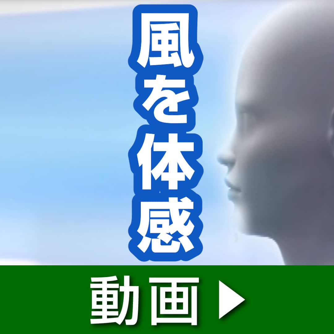 ダイソン 冷暖房機器 Cool AM07扇風機 ホワイト・シルバー AM 07