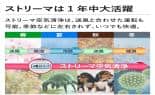 ダイキン エアコン エアコン Cシリーズ 主に10畳 AJT284ACS-W ダイキン エアコン エアコン Cシリーズ 主に10畳 AJT284ACS-W