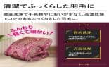 モリリン 布団・快眠グッズ エクセルラベル羽毛布団 シングル ワイン