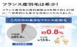 モリリン 布団・快眠グッズ フランス産羽毛洗えるダウンケット2