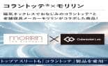 モリリン 布団・快眠グッズ 磁気敷きパッド コラントッテ lab