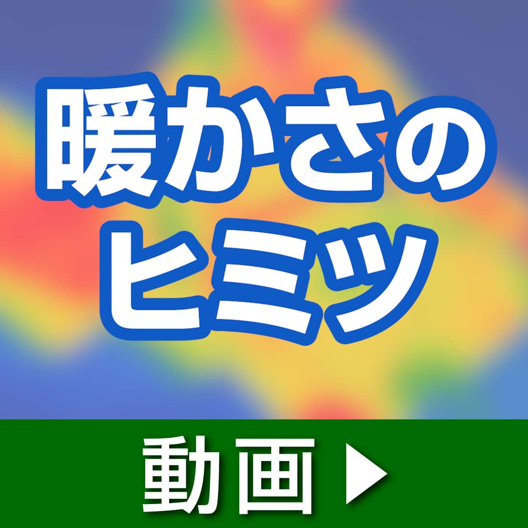 モリリン 布団・快眠グッズ 1枚2役あったか6層毛布 シングル