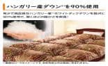 モリリン 布団・快眠グッズ ハンガリー産ダウン90%羽毛布団 シングル