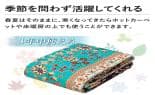 インテリア 手触り極上すべすべカーペット プルメージュ 正方形 2帖用