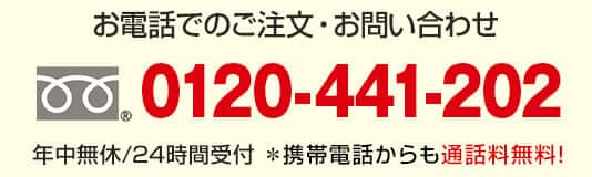 カラオケ パーソナルカラオケ オン・ステージ PK-WT120 通販【ジャパネット公式】