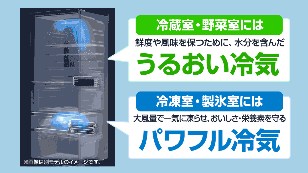 東芝 冷蔵庫 冷蔵庫 VEGETA 509L サテンゴールド GR-JA51TCS(EC