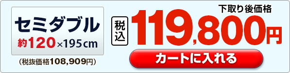 �Z�~�_�u�����J�[�g�ɓ����
