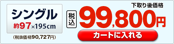 �V���O�����J�[�g�ɓ����