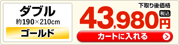 �_�u�����J�[�g�ɓ����