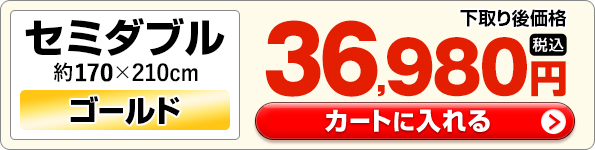 �Z�~�_�u�����J�[�g�ɓ����