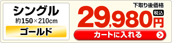 �V���O�����J�[�g�ɓ����