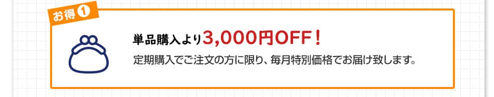 単品購入より3,000円OFF！
