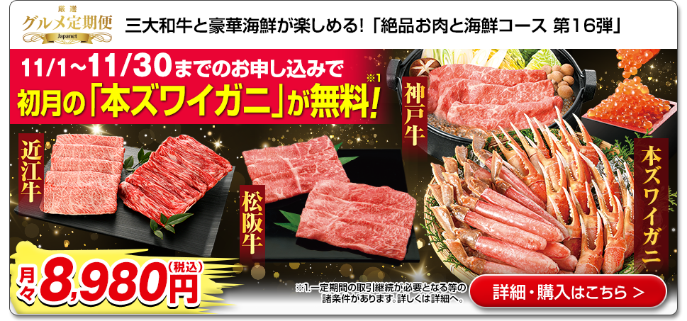 O iƖiR[X 16e ڍׁEw͂