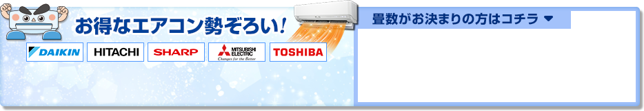 �����ȃG�A�R�������낢�I�����������܂�̕��̓R�`��