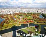 hakodate Copyright Goryokaku Tower
