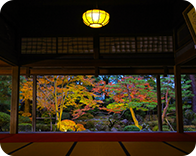 Niigata