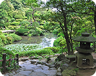 sakata