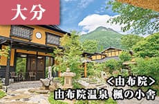 啪