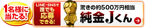 LINE�ESNS�ŒN�ł�����ł���I�����̖�500���~���� ����J����