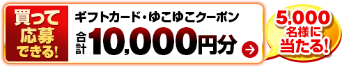 �����ĉ���ł���I�M�t�g�J�[�h�E�䂱�䂱�N�[�|�����v10,000�~��