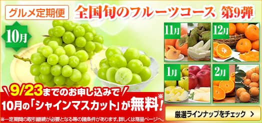 �O��������� �S���{�̃t���[�c�R�[�X ��9�e