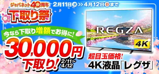 TVS REGZA 4K�t���e���r�u���O�U�v 65V�^ ��65M550L��