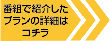 番組で紹介したプランの詳細はコチラ