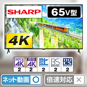 �V���[�v�@4K�t���e���r�@�A�N�I�X�@65V�^�@4T-C65GJ1