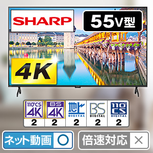�V���[�v�@4K�t���e���r�@�A�N�I�X�@55V�^�@4T-C55GJ1