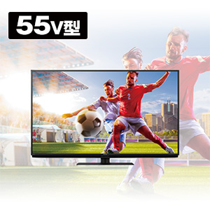 �V���[�v�@4K�t���e���r�@55V�^�@4T-C55FN2