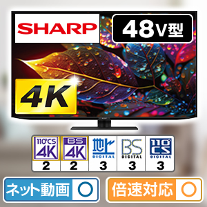 �V���[�v�@4K�L�@EL�e���r�@�A�N�I�X�@48�u�^�@4T-C48HQ2