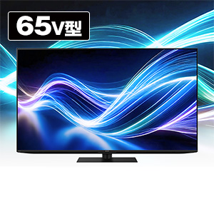 �V���[�v�@4K�t���e���r�@65V�^�@4T-C65GN1