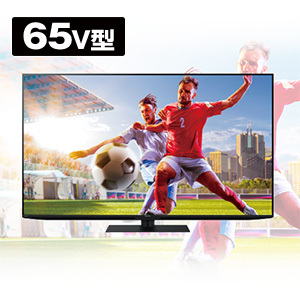 �V���[�v�@4K�t���e���r�@65V�^�@4T-C65FN1