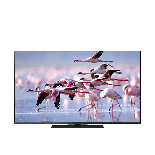 �s�u�r�@�q�d�f�y�`�@�y�Ǖi�z4K�t���e���r�@���O�U�@55V�^�@55Z670K_main_1