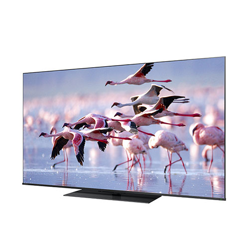 �s�u�r�@�q�d�f�y�`�@�y�V�i���l�z4K�t���e���r�@���O�U�@65V�^�@65Z670K_main_1